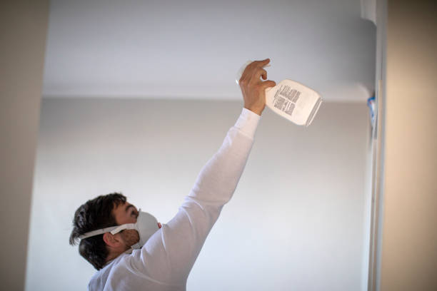 Best Residential Mold Remediation in Jackson Center, OH