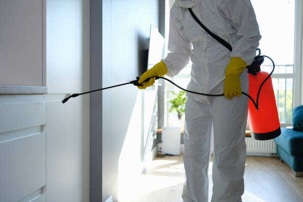 Best Mold Testing and Inspection Services in Jackson Center, OH